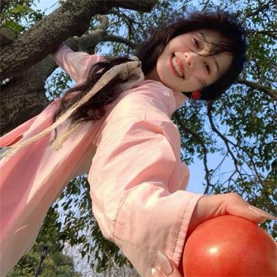 拿破仑行动